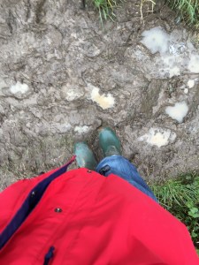 mud mud glorious mud