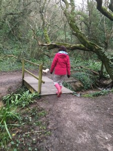 Another bridge to cross