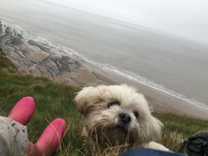 Cleo enjoying a rest