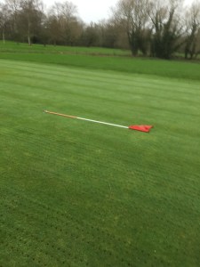 This field was flatter and less muddy!!