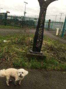 Cleo having one last pose